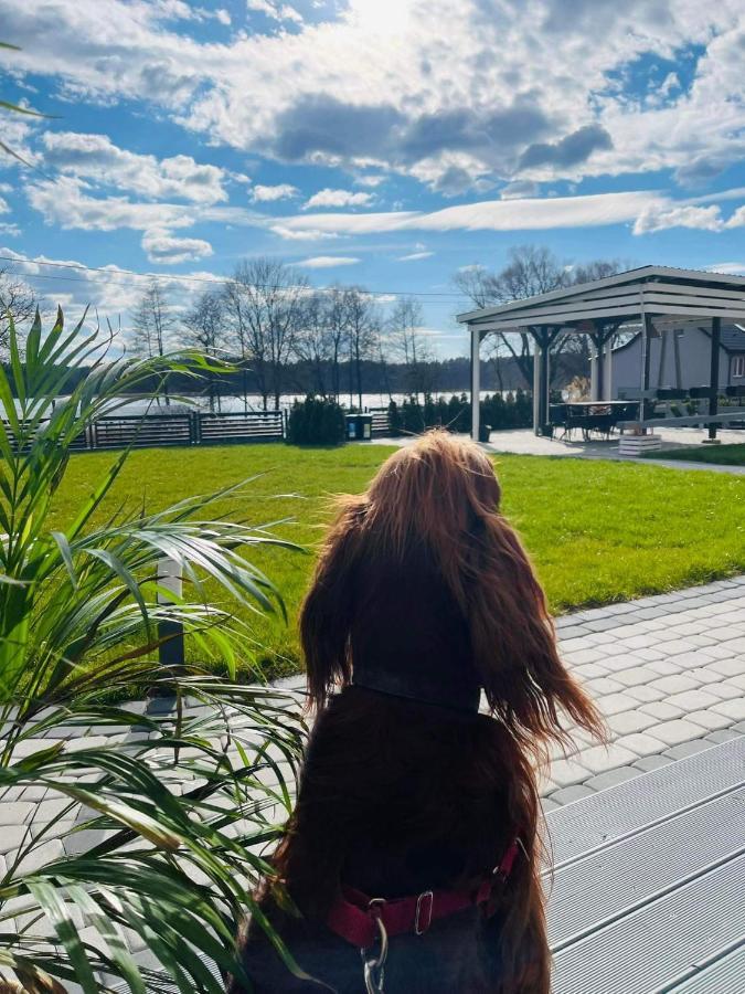 Ekosfera Pilawa Leilighet Borne Sulinowo Eksteriør bilde