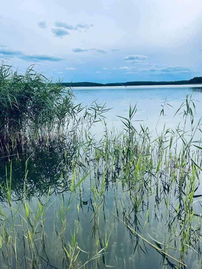 Ekosfera Pilawa Leilighet Borne Sulinowo Eksteriør bilde